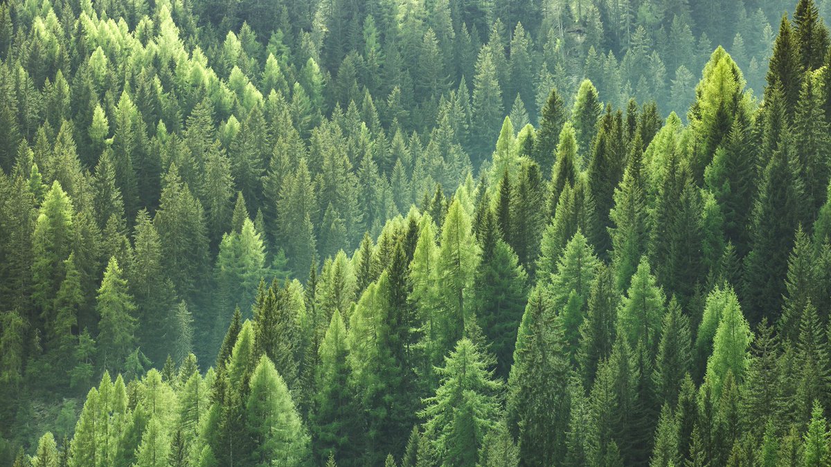 SWMINTL's tweet photo. At #SWMIntl, we recognize a commitment to sustainable business practices is a continuing journey, focused on long-term objectives, short-term goals, and measurable parameters of success across our enterprise. https://t.co/GWYmbmcH7r #SWMCares #sustainability https://t.co/e4cZ9Ej7iU