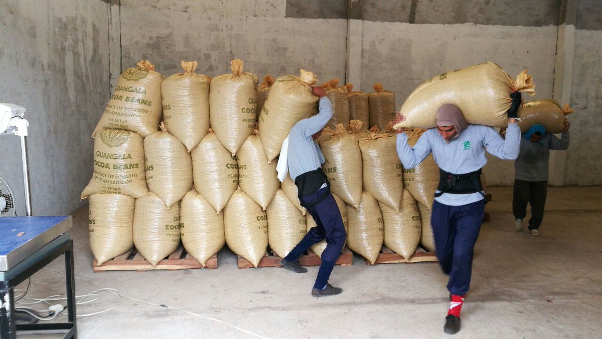 produrios's tweet photo. #Produrios continúa con el desarrollo del #proyecto del #cacao. En esta ocasión realiza proceso de embarque para entrega del grano seco de cacao a socio comercial. https://t.co/Iuf7CUm8WB