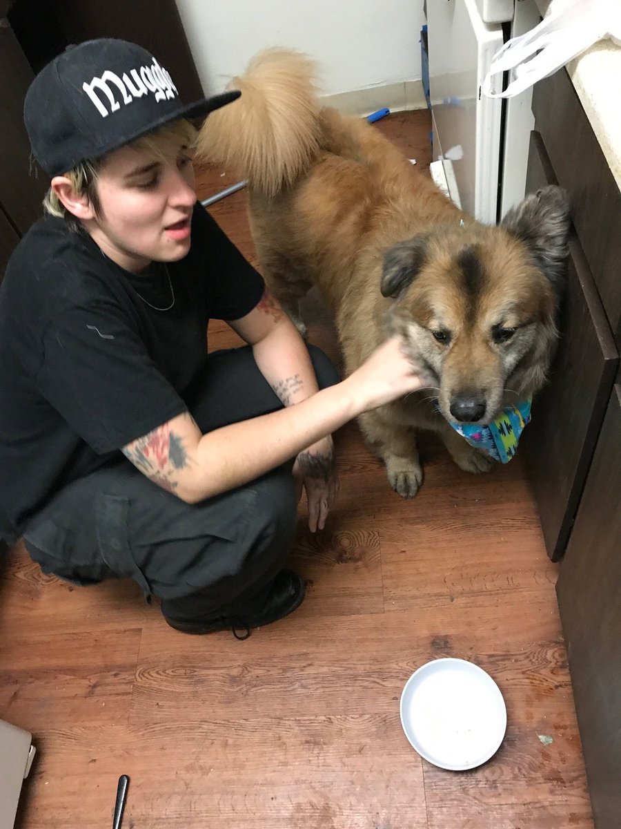 DrunkLiS's tweet image. I got conned.
Maybe Twitter can help spread the word to keep an eye out in Tucson, AZ.
Or anywhere in AZ since they've so kindly taken my money and dipped out.