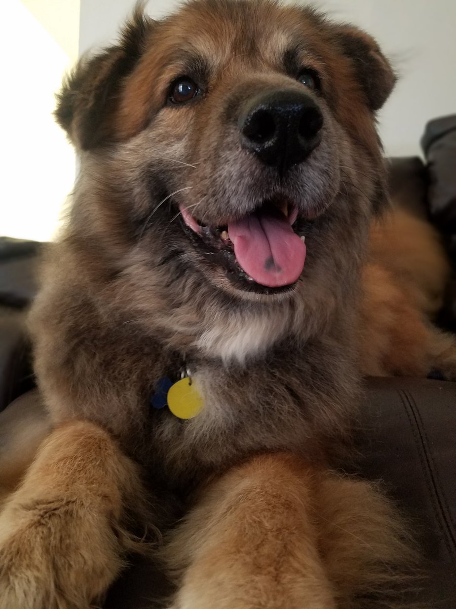 DrunkLiS's tweet image. I got conned.
Maybe Twitter can help spread the word to keep an eye out in Tucson, AZ.
Or anywhere in AZ since they've so kindly taken my money and dipped out.