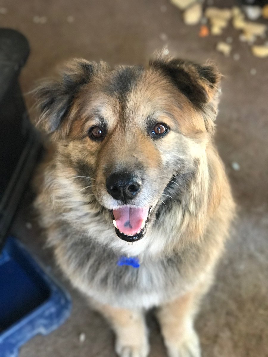 DrunkLiS's tweet image. I got conned.
Maybe Twitter can help spread the word to keep an eye out in Tucson, AZ.
Or anywhere in AZ since they've so kindly taken my money and dipped out.