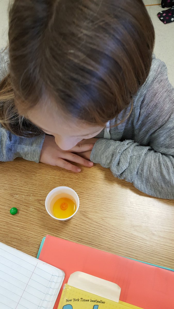 BlankenshipLRUE's tweet photo. Ss use their knowledge about the scientific method to complete an M & M lab. #sciencerox #WeAreLR @LRUEWildcats https://t.co/UcLsjekEhZ
