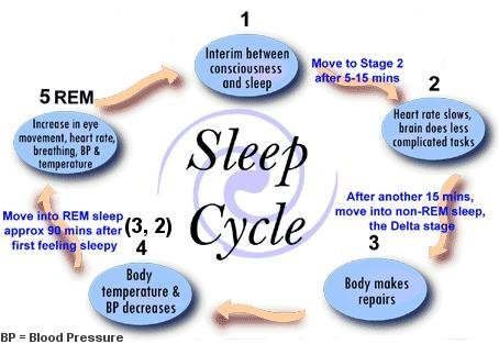 CCustomMattress's tweet image. #Sleepcycle #Sleeping #sleepKnowledge