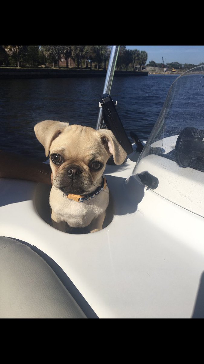 passero_carson's tweet photo. Anchors Aweigh ⛵️ 🌊 https://t.co/IWQA5hBltE