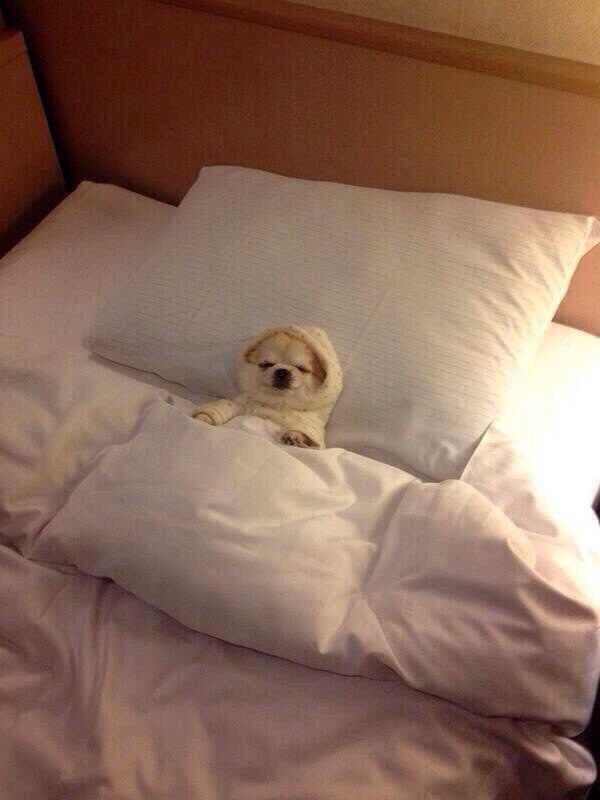 NiallSnipars's tweet photo. Would you tuck him into bed for 500 million grand https://t.co/3Bg6XTRWa9