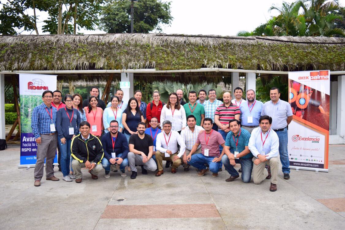 rommelvargasc's tweet image. Misión cumplida! Con éxito terminamos primer Curso Internacional #AuditorLider #RSPO en Ecuador 🇪🇨 . Gracias @FEDAPAL por l oportunidad de apoyar al sector #Palmicultor.