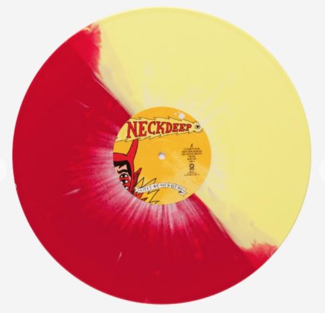 hopelessrecords's tweet photo. 20% off @NeckDeepUK #LNOTGY exclusive at @newburycomics ! Shop now: https://t.co/bM5q5CFD6z https://t.co/oci469pluR