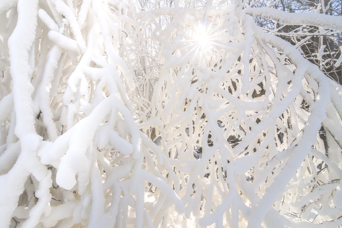 SugarloafMaine's tweet photo. Sugarloaf snowmakers; aka rime ice artists. #theloaf #snowmaking https://t.co/hhnyipoaso