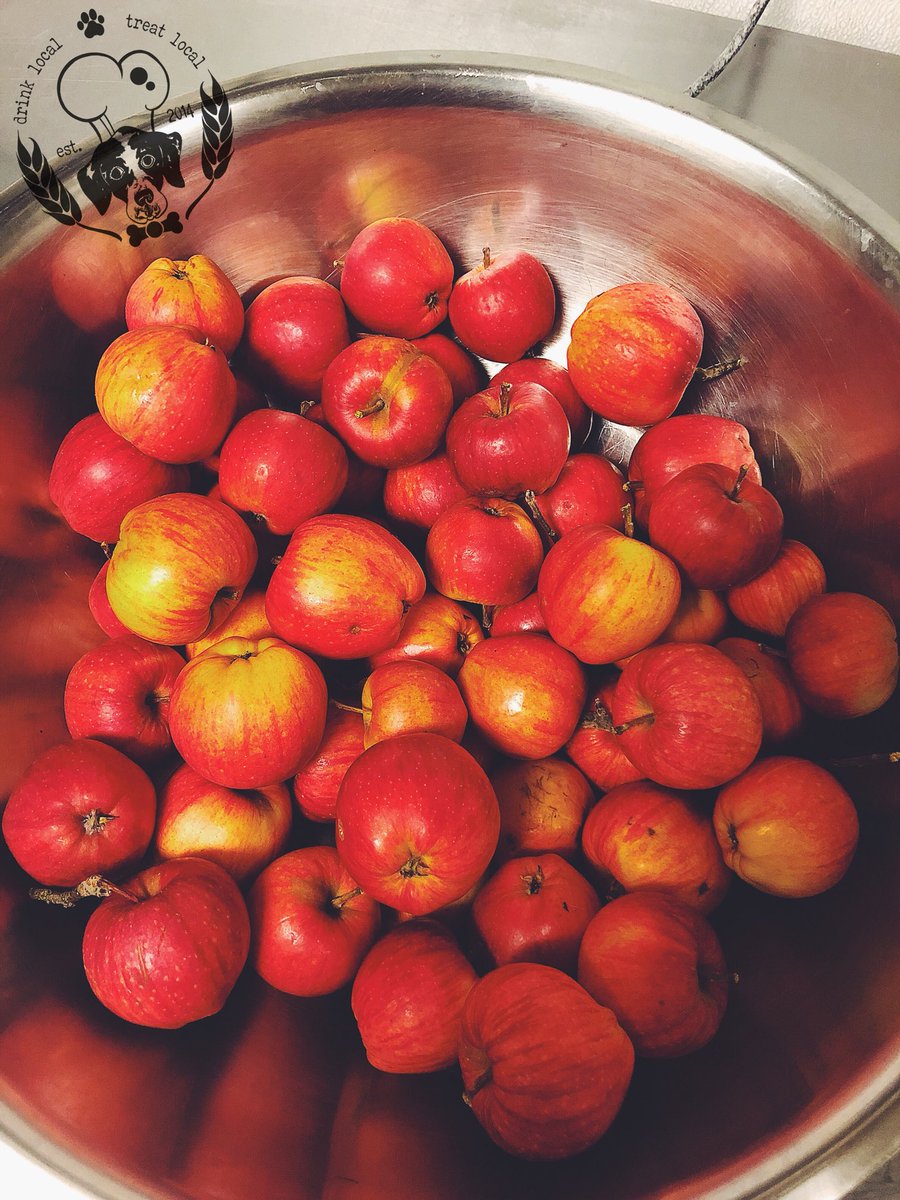 The Malted Mutt tweet media