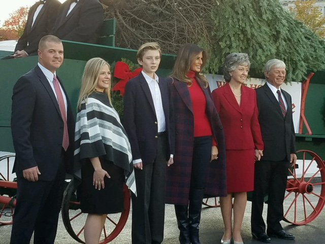 RealTrees tweet picture