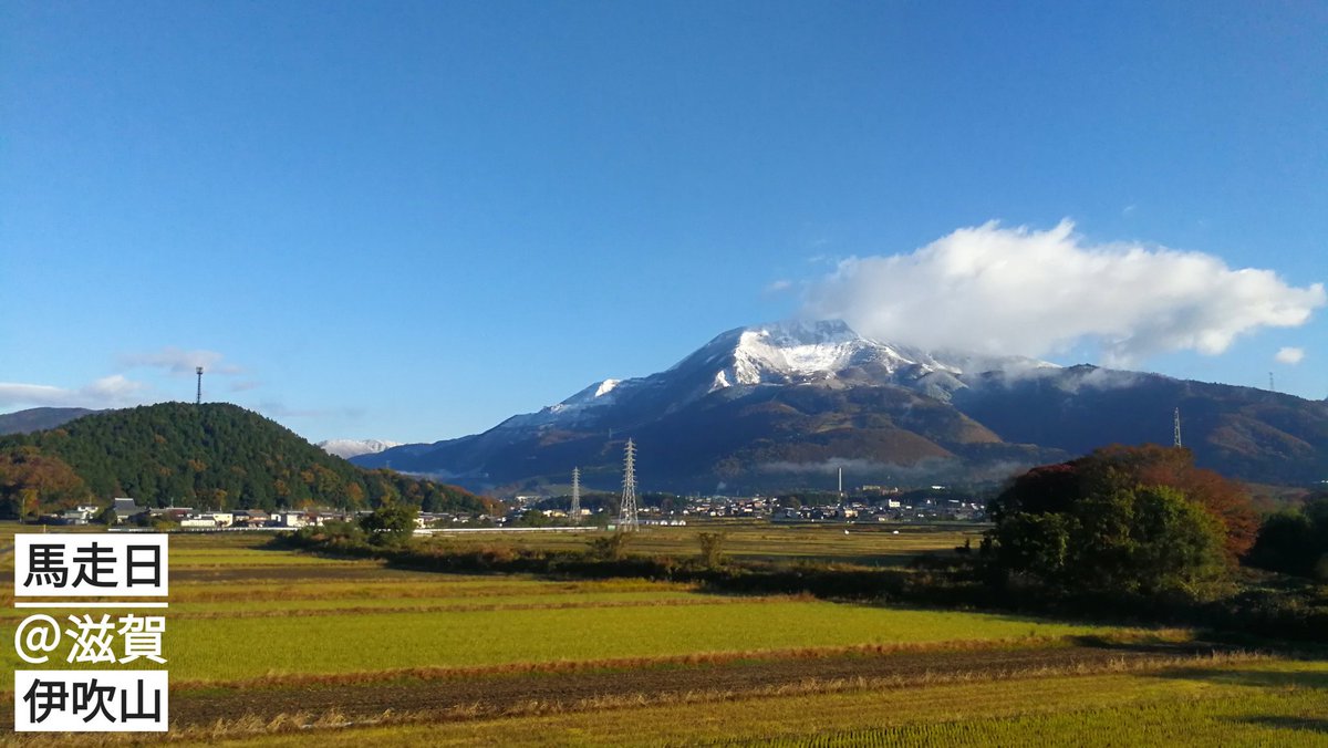 馬走日v Twitter 大早奔东京 天气不错 滋贺的伊吹山是离我们滑雪最近的有点儿规模的雪场 这几天降温 已经有雪帽了