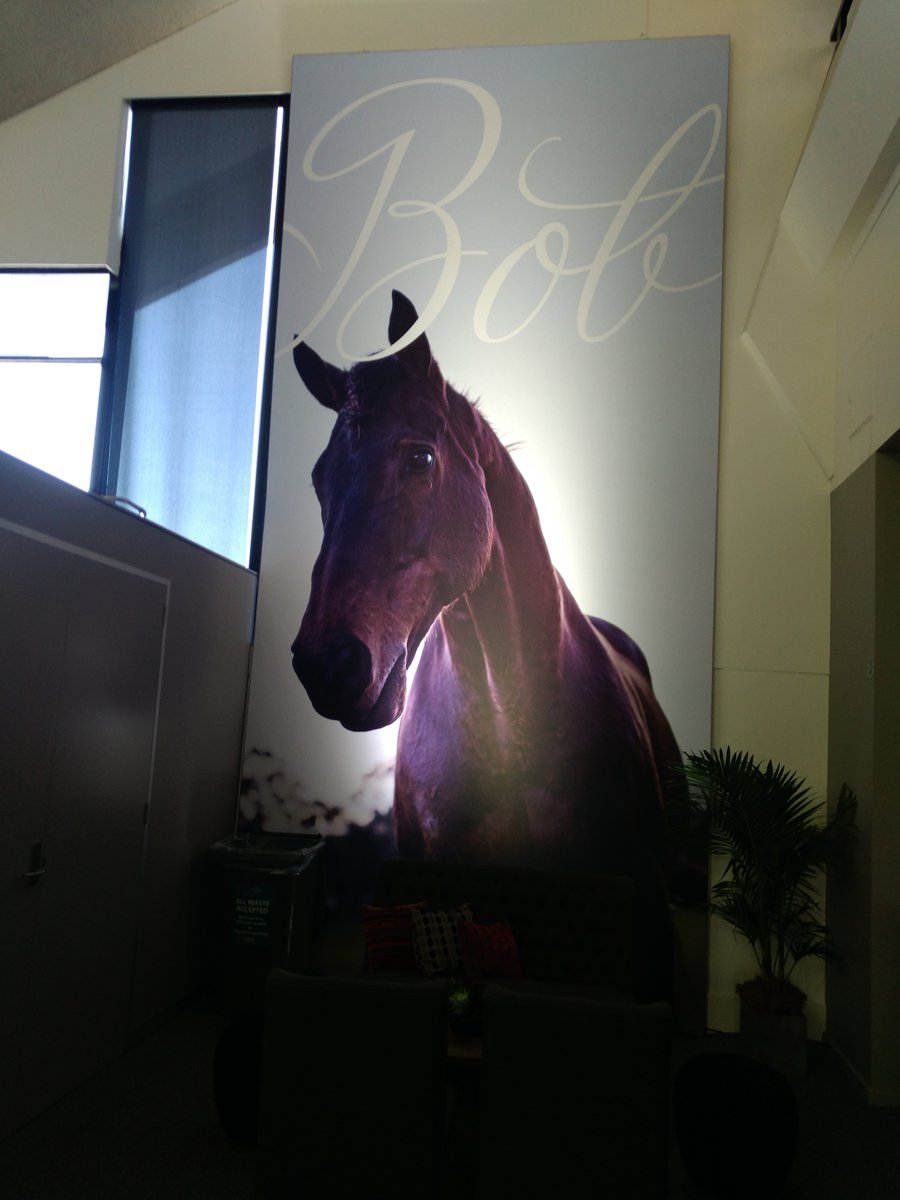 DankoffDanny's tweet image. #O2Sphoto