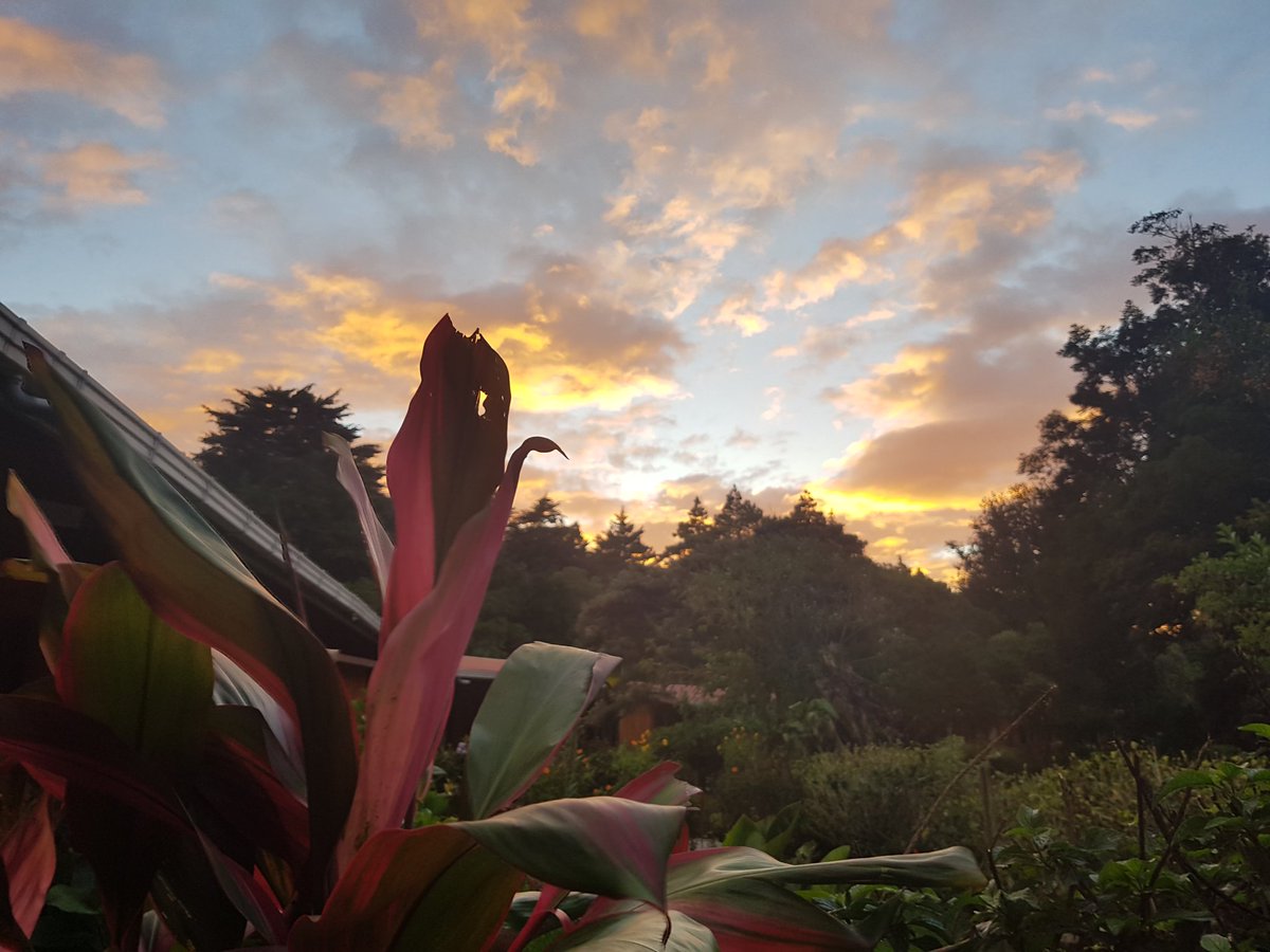 CarloKuip's tweet image. Sunset in #Monteverde. Its actually quite chilly up in the mountains. #BringASweater
