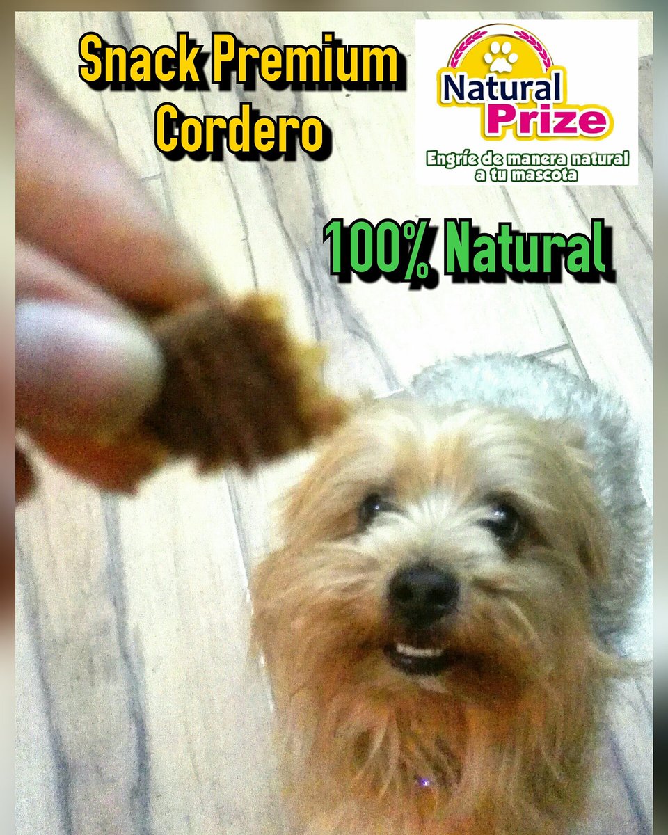 Natural_Prize's tweet photo. #NaturalPrize #SnacksPremium #OrgullososDeSerPeruanos π΅πͺ #Peru π΅πͺ #sanoparatumascota @Natural_Prize https://t.co/WxQ1irX88S