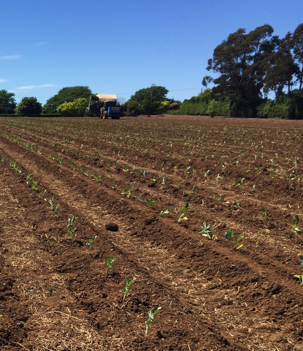 Happy National Agriculture Day! Visit the agday.org.au/farm-facts website for the facts on Australian agriculture.