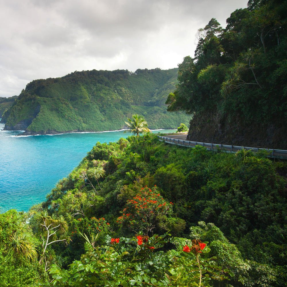 BlueBottleRoses's tweet photo. The Ultimate Guide to Maui https://t.co/8A3r8JrIbH https://t.co/vbwpEuvuOz
