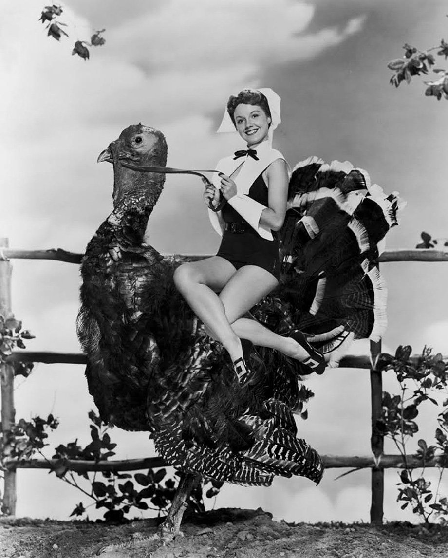 $55 per person means no cooking, no dishes and amazing food! RVSP at (970) 429-8192 for seatings at 2:30, 5:00 and 7:30 come join us for #Thanksgiving in #Aspen this Thursday! #turkeyday