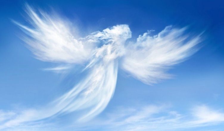 Wrabitter's tweet photo. Among the 10 kinds of angels, which do you think is the most important?
https://t.co/plDzlbirUr
#religion #mythology #Spirituality https://t.co/i1yhGLPHWW
