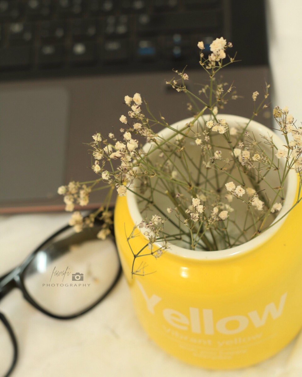 😌🧡
 <a href="/grp_ksa1/">محترفي التصوير</a> <a href="/Photo_4Rt/">ابداعات مصور 📷</a> <a href="/photo_re/">روائع الصور</a> <a href="/almswer/">#تصوير_فوتوغرافي</a> <a href="/pic1_x/">زوآيا المصورين</a> <a href="/cameraty/">كاميرتي</a> <a href="/pic_4_you/">حياة الصور</a> <a href="/tswir/">تصوير</a> @MyPhotoMag