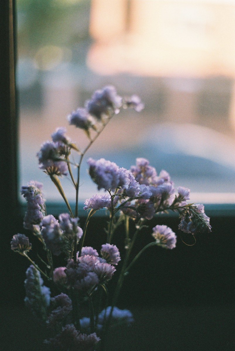 OlmoForest's tweet photo. #35mm https://t.co/DZd30Qk2yb
