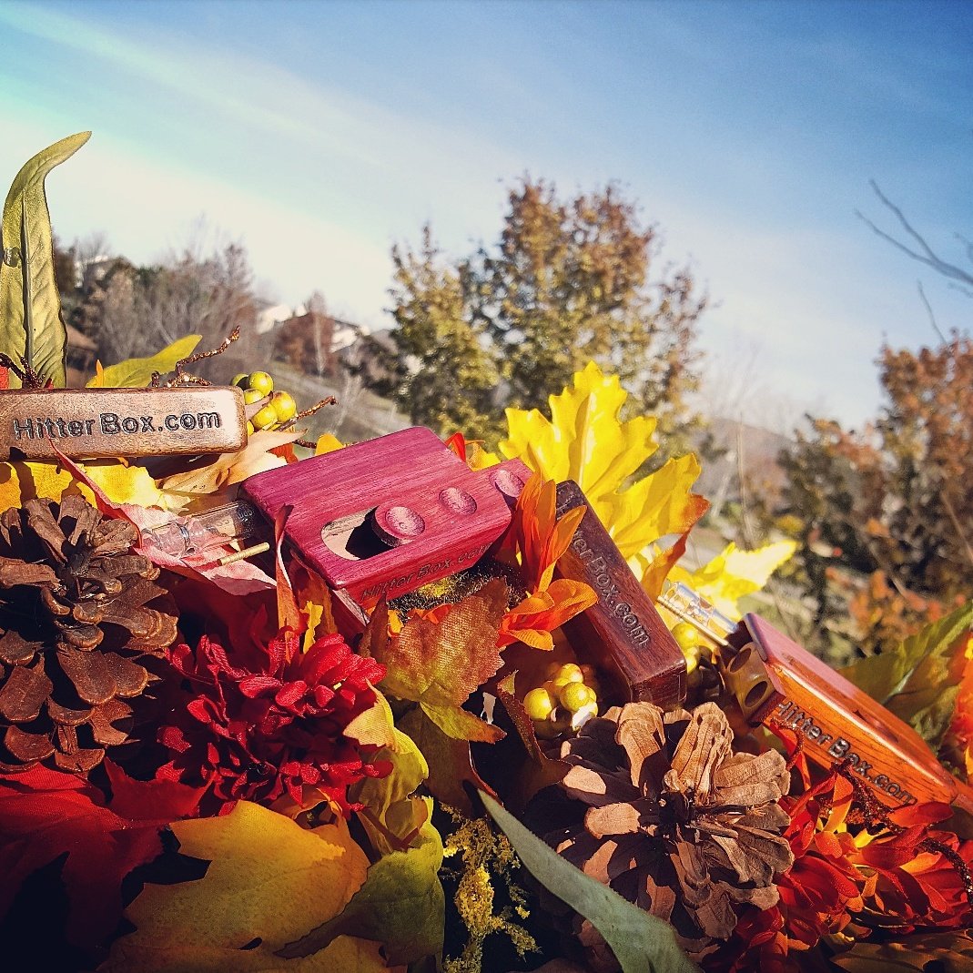 hitter_box's tweet photo. A perfect blend of Autumn colors. #hitterbox #hitterboxcom #hitterboxlife #hitter #autumn #fall #thanksgivingweek https://t.co/Ak5sKxjscA
