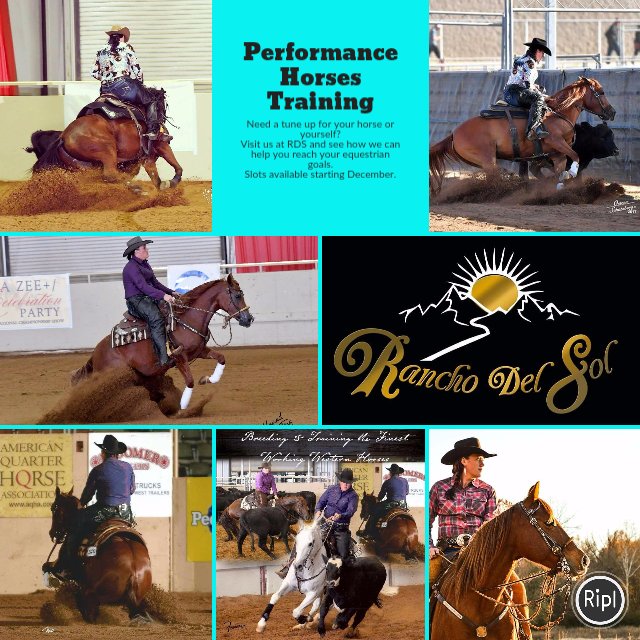 RDSArena's tweet photo. #equestrian   
via https://t.co/glTqw8ZDFV https://t.co/ppWrKRquBe