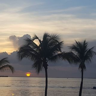 It's hard not to stop and catch your breath with a view like this. #KeyLargoMarriott 📷: fracture_fashionz