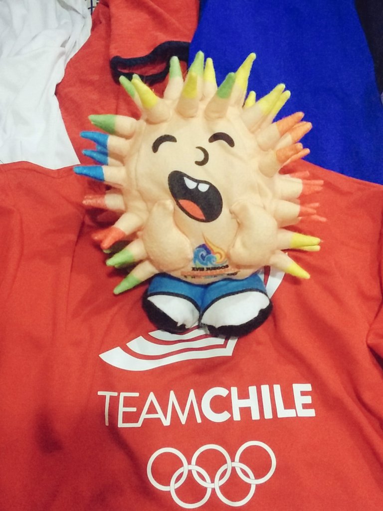 kristelkobrich's tweet photo. Medalla de plata 🏅 hoy en los #JuegosBolivarianos2017 Empezando de la mejor manera... #TeamChile🇨🇱 👍🙏🙋🏊 @adidasCL https://t.co/4K4jG2Q9uj