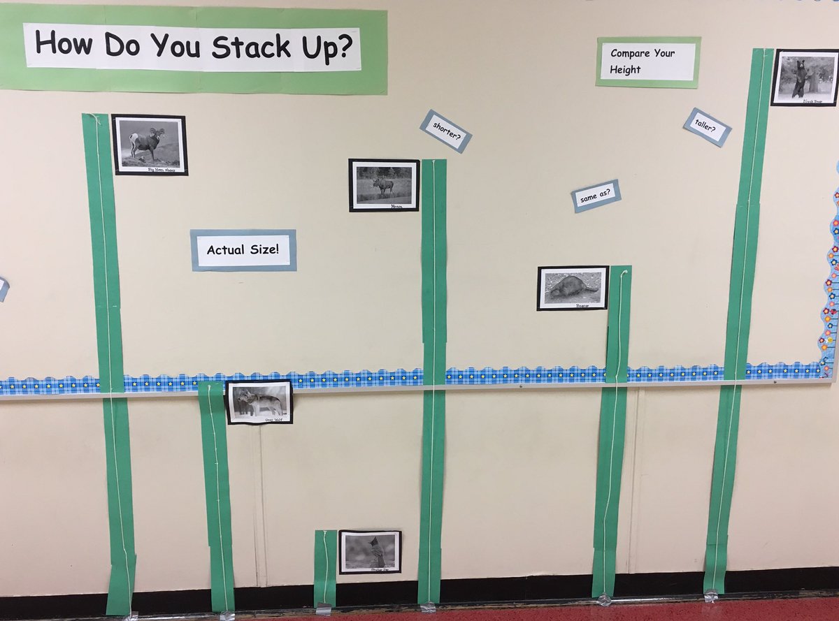 MrsSMorrish's tweet photo. How do you stack up? Comparing our heights to the heights of some B.C. animals. Are you taller, shorter or the same as? #sd36learns #numeracy #measurement #grade1 https://t.co/mAyktftKlD