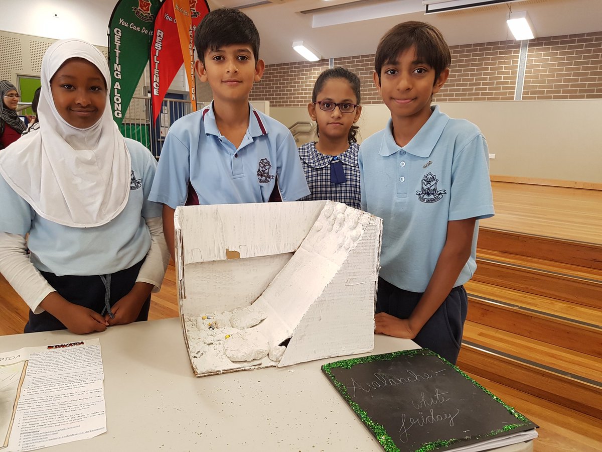 sarah Balestriere (@balestriere2) on Twitter photo 