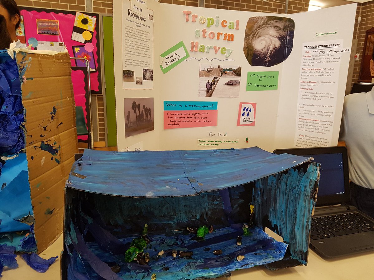 sarah Balestriere (@balestriere2) on Twitter photo 