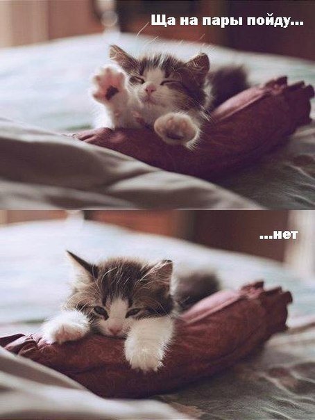 work5ru's tweet image. Дарим скидку 20% на все работы по промокоду VK30 Для заказа переходи по ссылки ниже: ▶work5.ru/orders?promoco…… t2p.pw/Z58EQDskrg