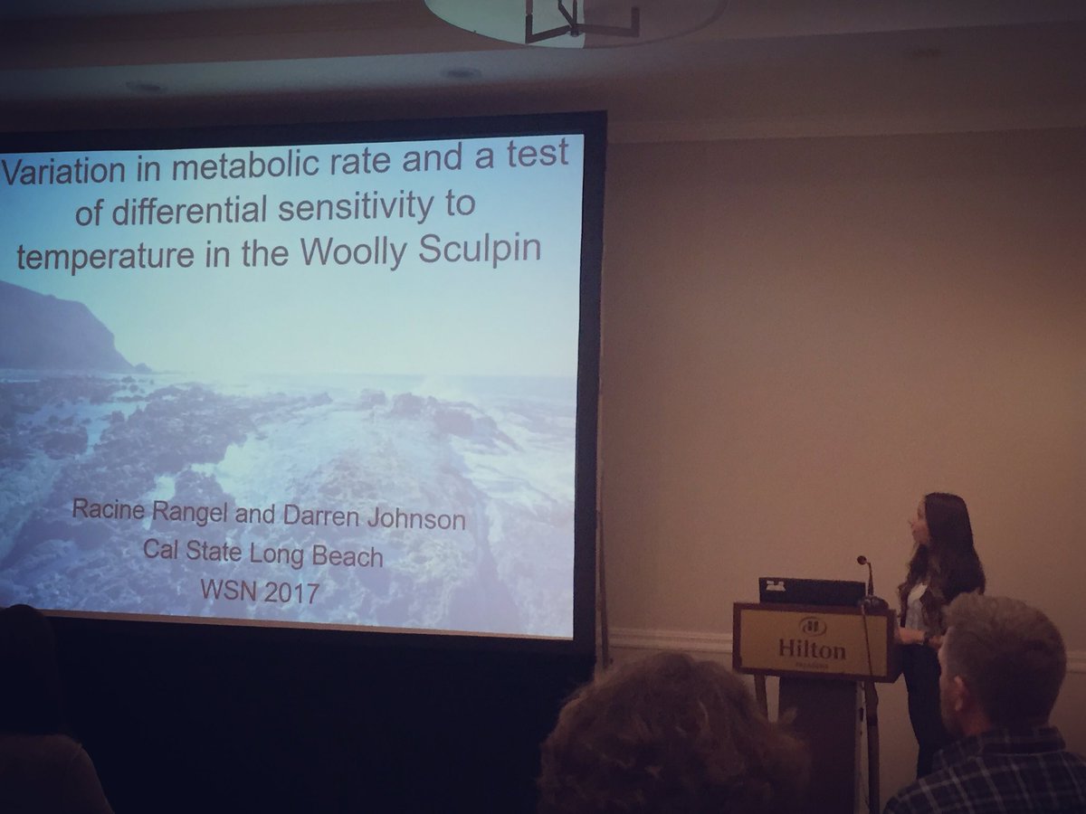 racine_rangel's tweet photo. Thank you #wsn2017 for awarding me honorable mention for my talk on the Woolly Sculpin! It was a delight to share my research. #csulb https://t.co/ztWtv8G1jk