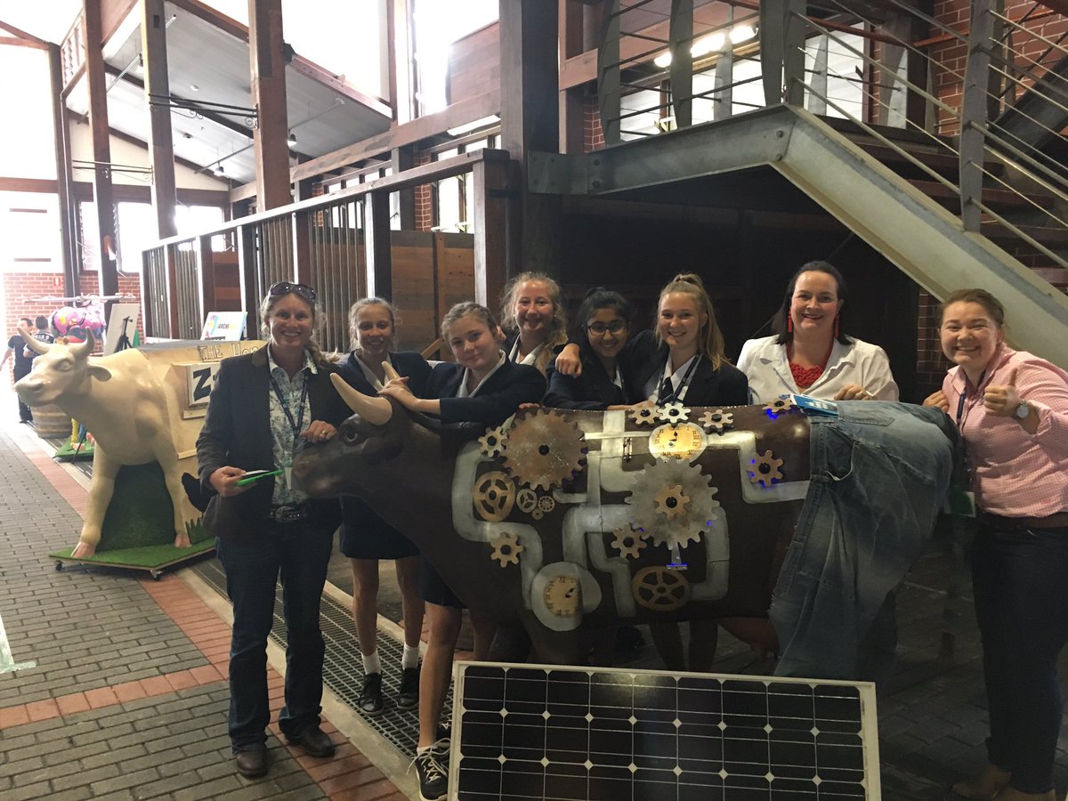 sharnaholman_'s tweet photo. @AliBriggs @CottonAustralia met the amazing #cotton Bullinda Bullgard &amp; BSHS students who came from QLD for @Art4ag #archie17! #whatacow https://t.co/IHG2Xx9C2m