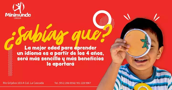 MinimundoLingua's tweet photo. "Con el aprendizaje de una lengua extranjera a edades tempranas se favorecerá en los niños el desarrollo cognitivo y el rendimiento de las habilidades básicas, algo que repercutirá positivamente tanto en la etapa escolar del niño como en la personal" https://t.co/xroonZlDnx