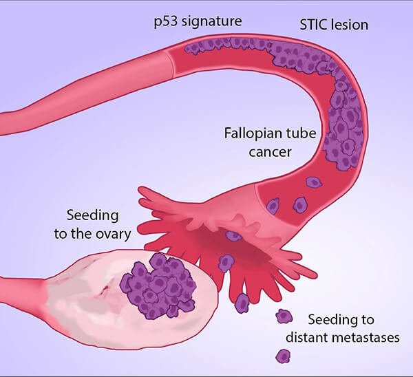 National Cancer Institute tweet media