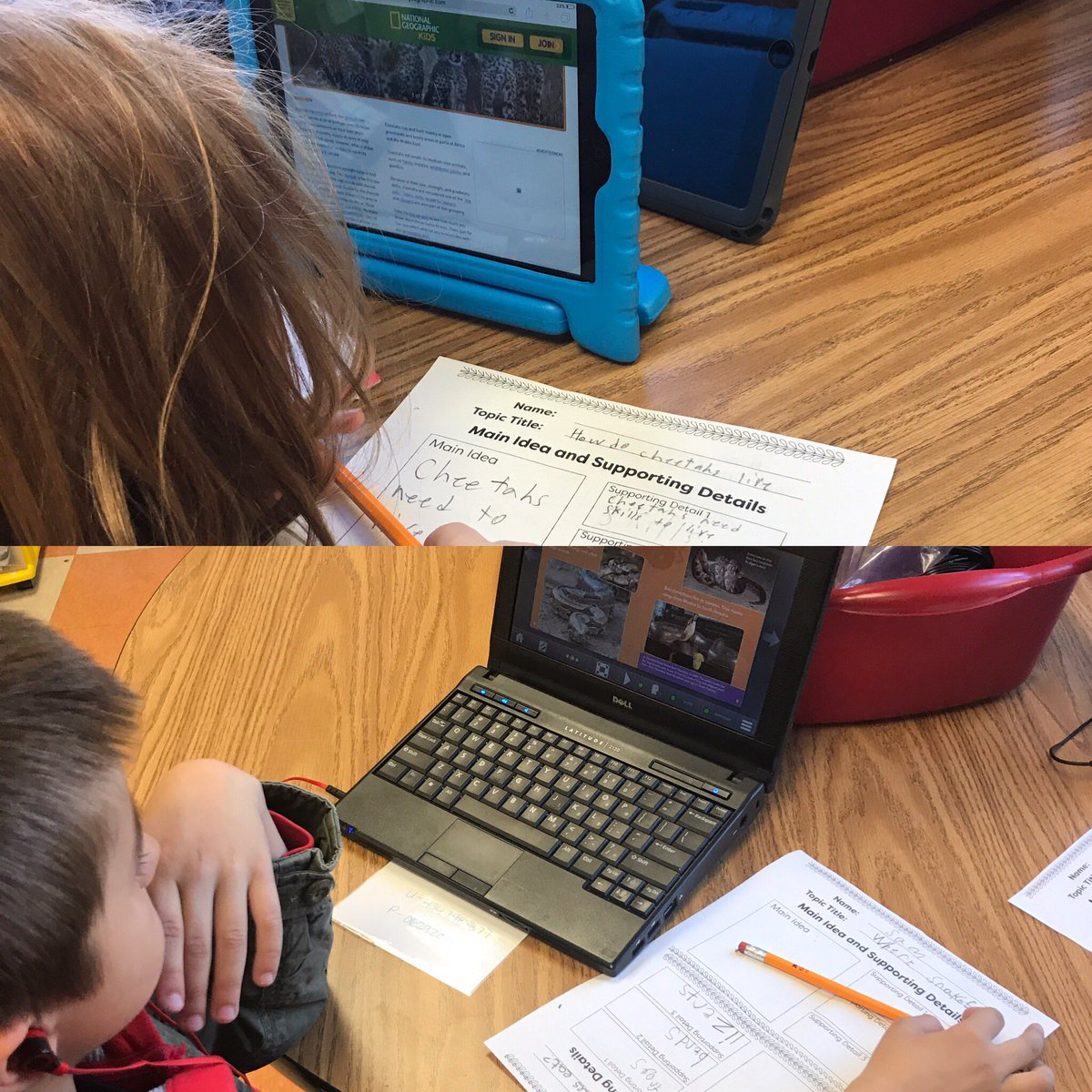 adp_239's tweet photo. Using technology in our classroom to do some nonfiction research! #usingourresources @CherishFlan8 @SunValleyES_NC @UCPS_MonroeNC https://t.co/gE2vrLm97C