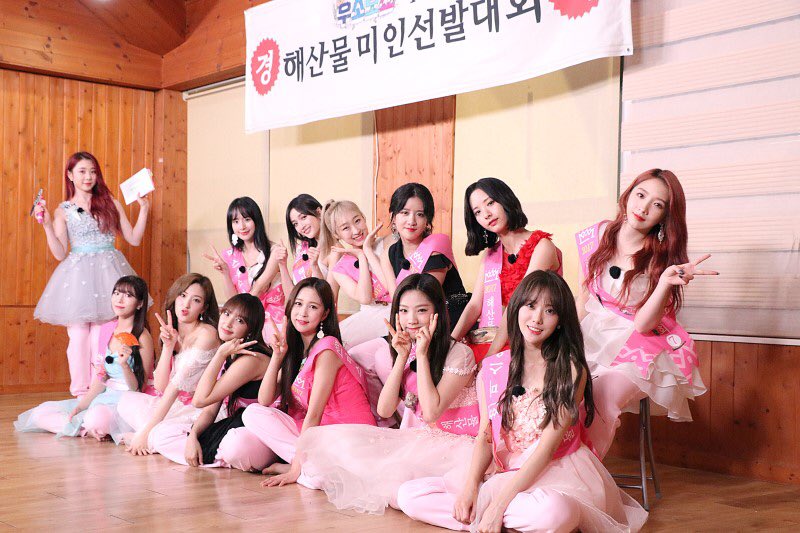 saintbreeze_kr's tweet photo. 해산물 미인선발대회 진진진 해3성소( ﾉﾟ∀ﾟ)ﾉ
#우주소녀 #성소 #Chengxiao #또끼 https://t.co/FnVI0NHgcQ