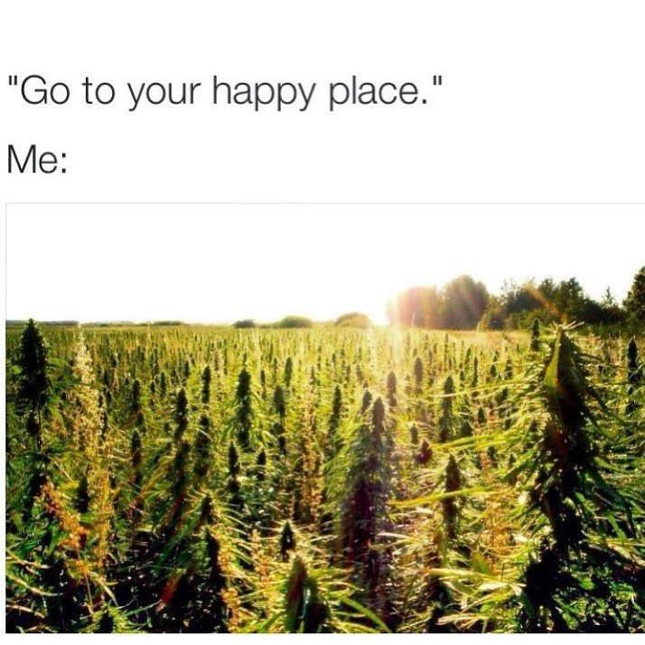 HIGH_TIMES_Mag's tweet photo. Truth. https://t.co/Dy1hb09wuu
