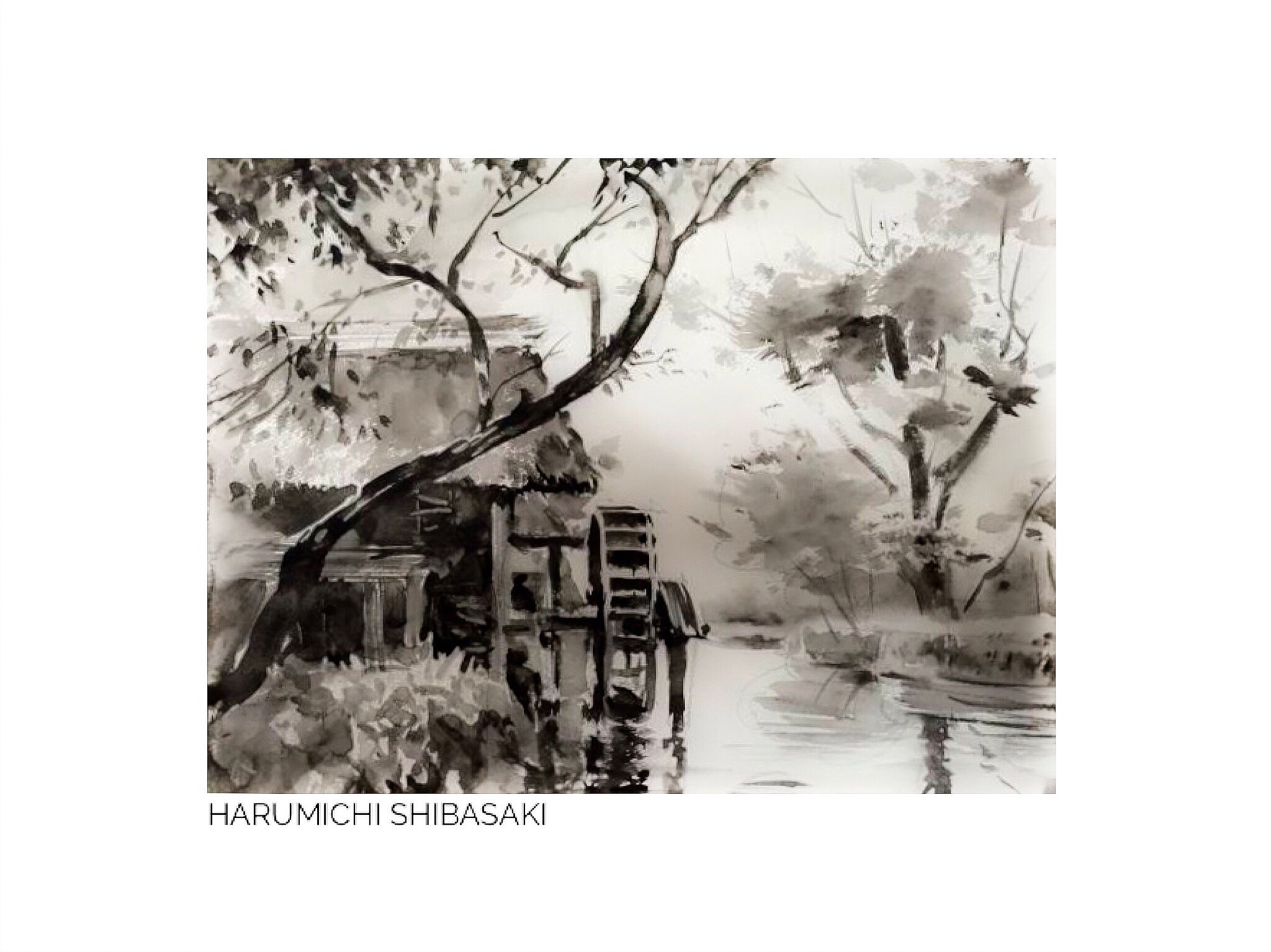Shibasaki watercolor deals