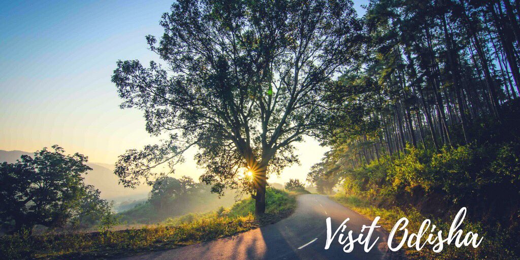 Explore #EcoTourism destinations in and around the Sanctuaries n National Parks of #Odisha ! Minimal camping, trekking n loads of adventure!