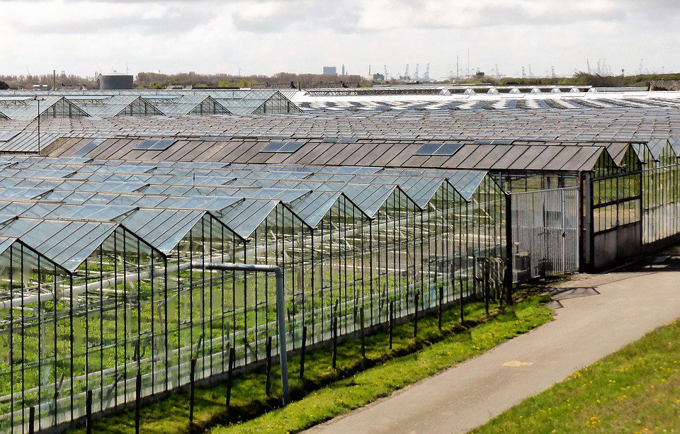 "Onze Nederlandse jongeren enthousiast te maken..." voor de #tuinbouw (red.) nos.nl/l/2203776 via <a href="/NOS/">NOS</a> aldus @LTOGlaskrachtNL  <a href="/SjaakVanDerTak/">Sjaak van der Tak</a> #lerenisdurven ook @InhDelft probeert steentje bij te dragen!