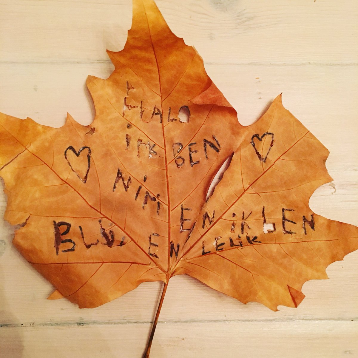 Is je kind ook zo gek van herfstblaadjes? Meenemen maar! Geef ze een sateprikkertje en je kunt de mooiste dingen schrijven of tekenen in je herfstblad.