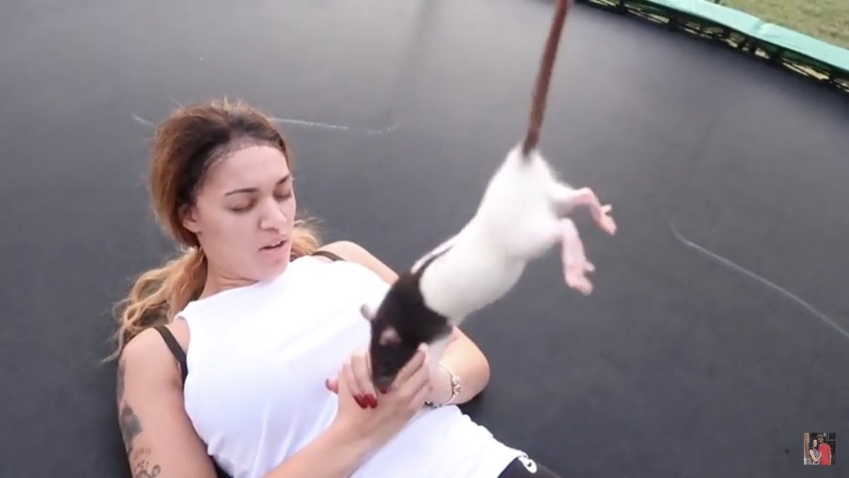 DiamondNasty21's tweet photo. @DamienPrinceJr &amp; @bianncarraines This Prank Was So Scary For her like it’s just a cute little rat 🐀 #TEAMDAMIEN ALL DAY EVERYDAY https://t.co/r2KDsYLMd4