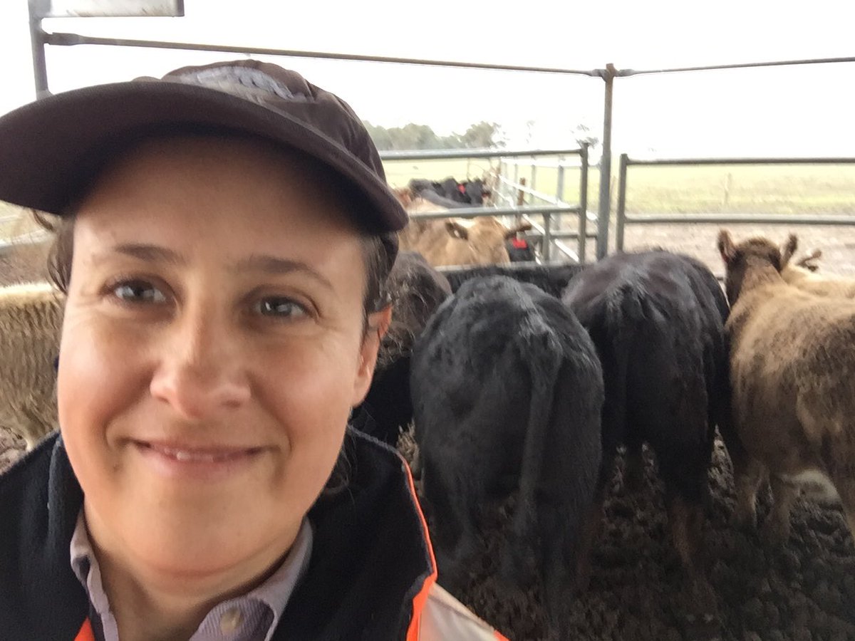 lucyannedodd's tweet photo. Happy #AgDay . Proud of my farming heritage, looking forward to my farming future. #ThankafarmerSA https://t.co/AKg5r6Upnu