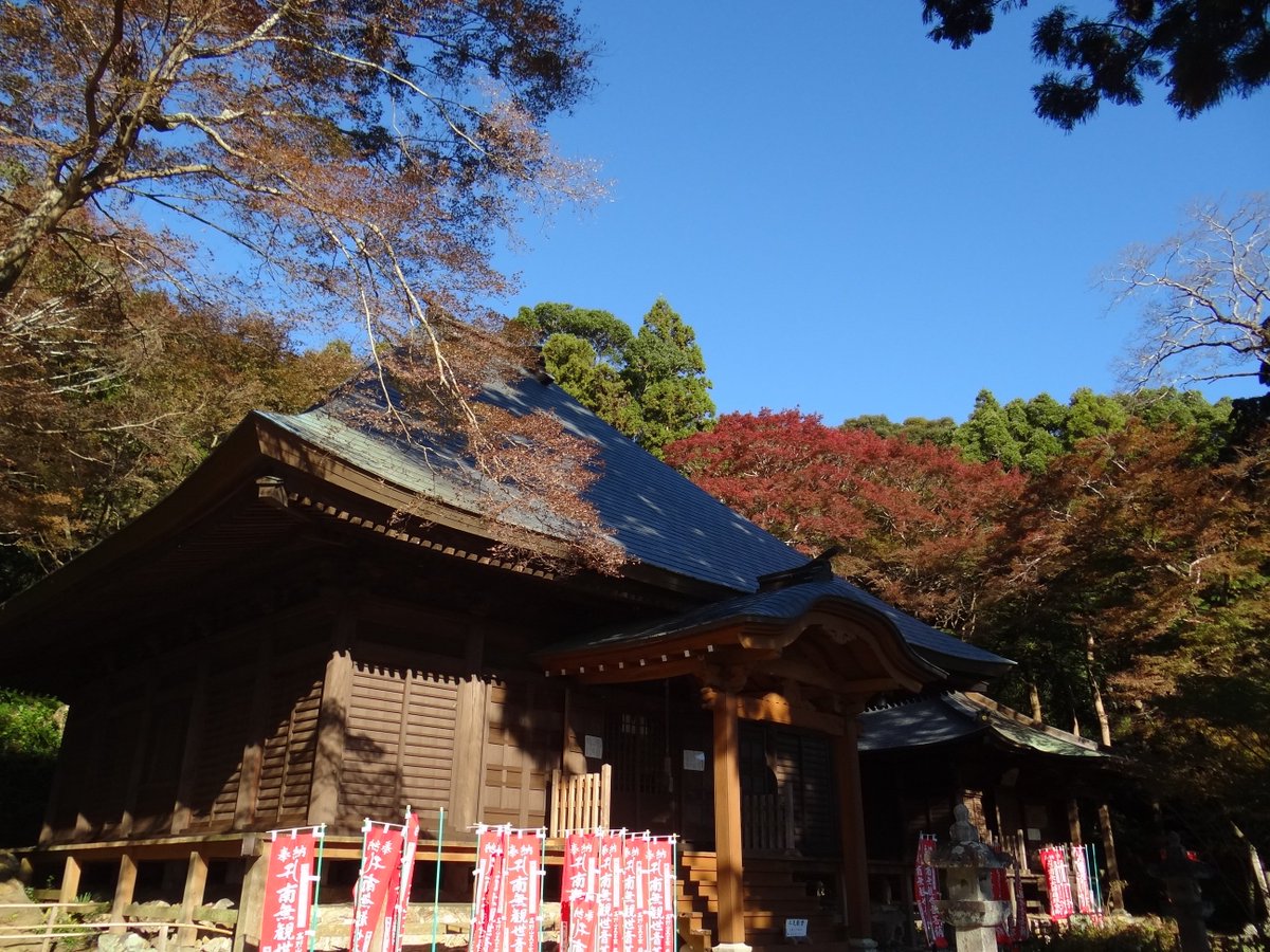 豊橋のもみじ寺 普門寺 公式 豊橋 湖西 豊川の永代供養 樹木葬 納骨堂 寺葬 ペット供養 御朱印 Twitter પર 豊橋のもみじ寺 普門寺 紅葉状況 紅葉は 色付き始めました 秋に咲く桜 ヒマラヤザクラ ８部咲きです 画像は 本堂 大師堂周辺