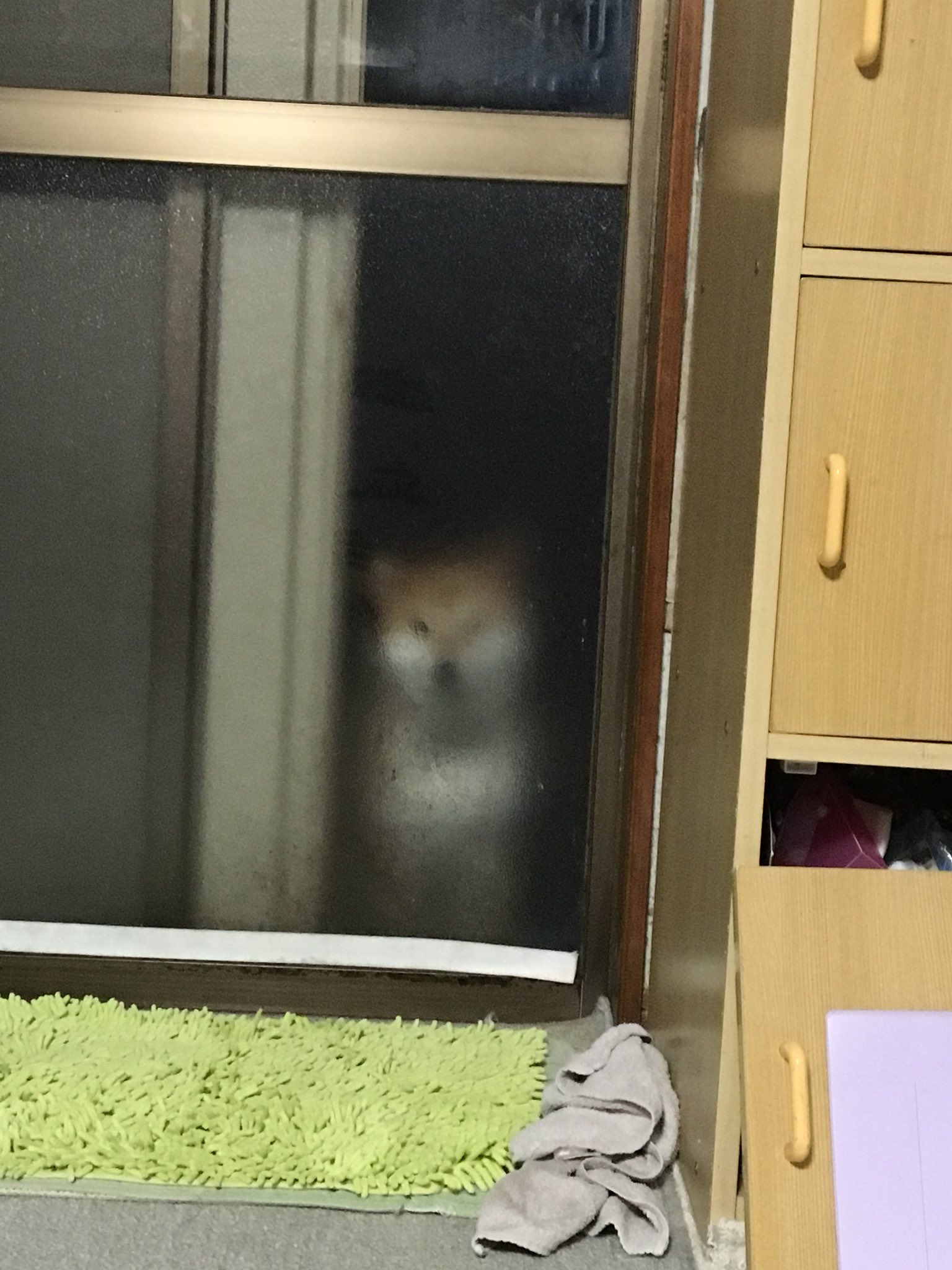 画像 じわじわくる柴犬を無言であげる見た人もやる T Co Qz5sojcx2s Matomehub まとめハブ 画像 じわじわくる柴犬を無言であげる見た人もやる T Co Qz5sojcx2s Matomehub まとめハブ