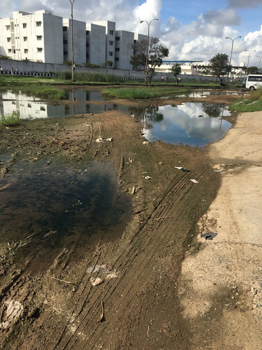 ViswanathGopi's tweet photo. Taramani MRTS station is surrounded with water, requesting concerned authorities @RailMinIndia @DrmChennai to look into steps to clean https://t.co/4jM6Sp1Ajy