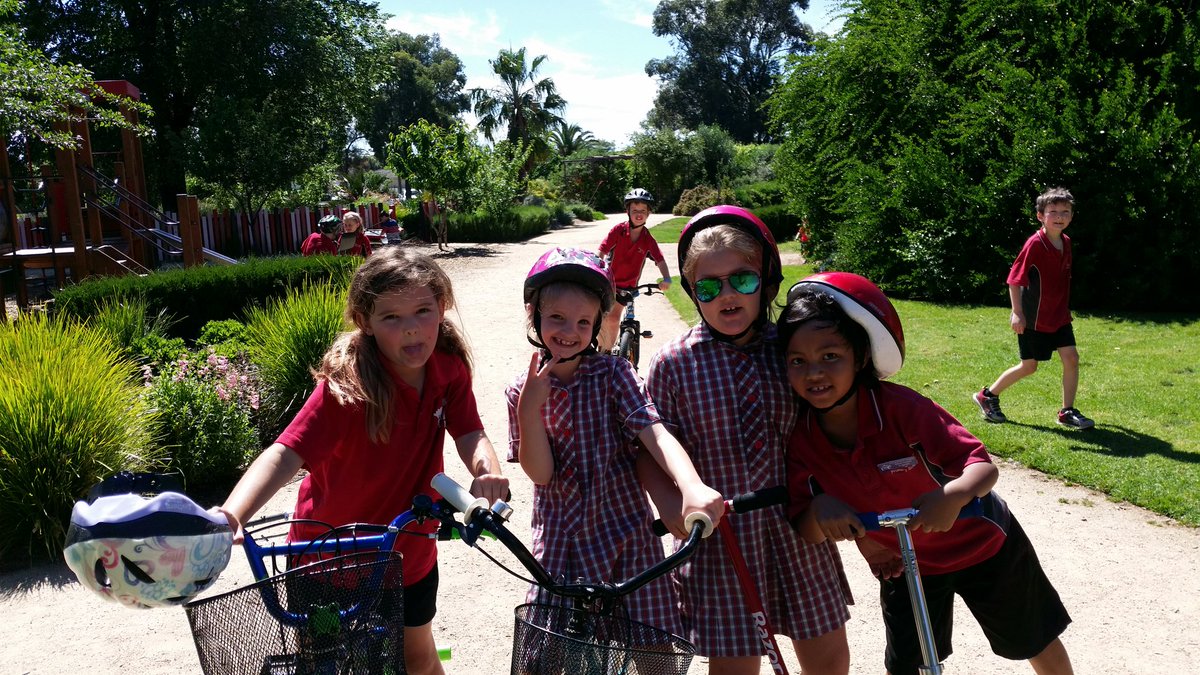 Epsom Grade 1/2P tweet media