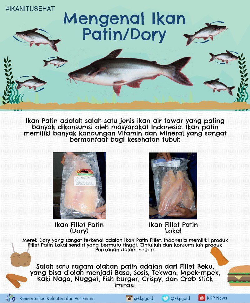 kementan's tweet photo. Selamat Hari Ikan Nasional 2017. Jangan lupa konsumsi ikan karena ikan baik untuk kesehatan 👍 #IkanItuSehat https://t.co/hAnYdhH8Ih